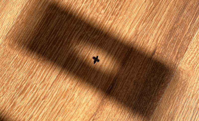 Le premier point de l’analemme